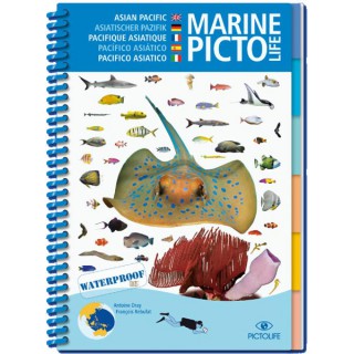 Marine PICTOLIFE Pacifique asiatique