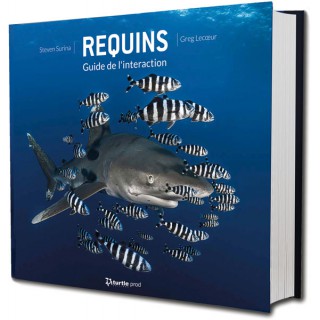 REQUINS Guide de l’interaction