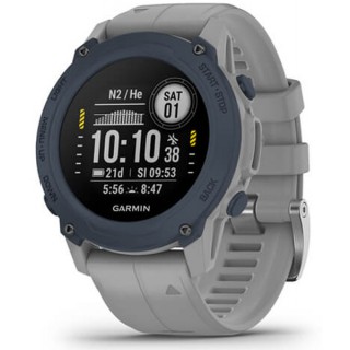 Ordinateur GARMIN DESCENT G1 Gris clair