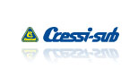 logo Ccessi