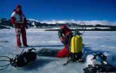 Frayeurs sous la glace