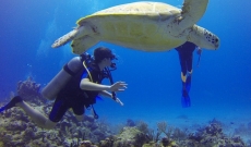 Débuter et profiter des avantages de la plongée sous-marine